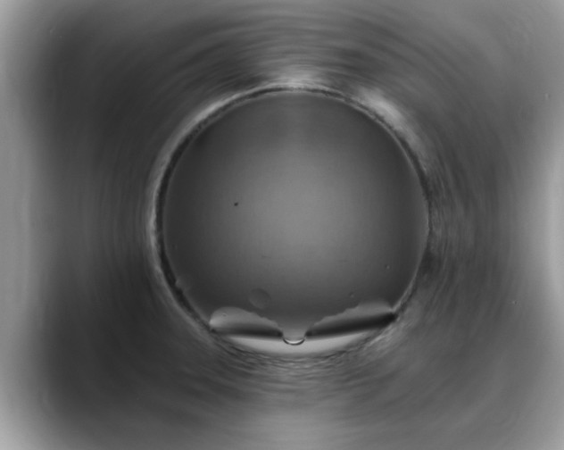 X0000088751331200706071712