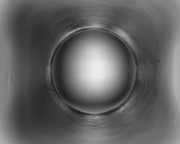 X0000088751332200706071712