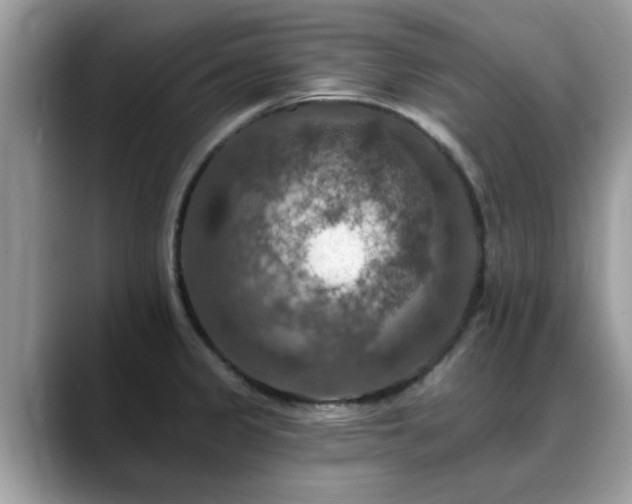 X0000088751333200706071712