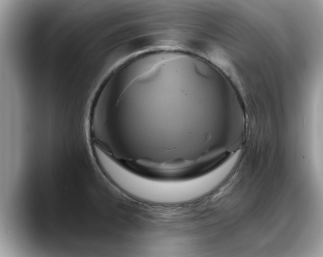 X0000088751334200706071712
