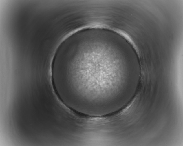 X0000088751335200706071712