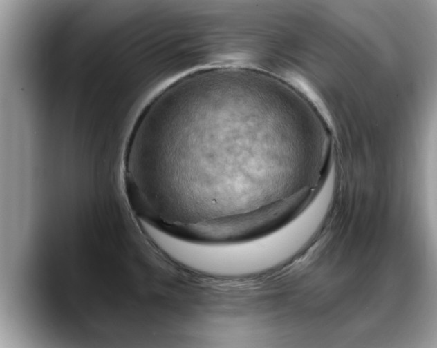X0000088751336200706071712
