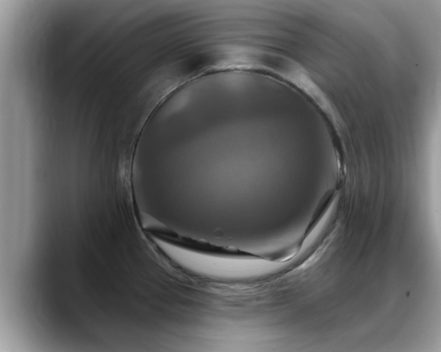 X0000088751337200706071712
