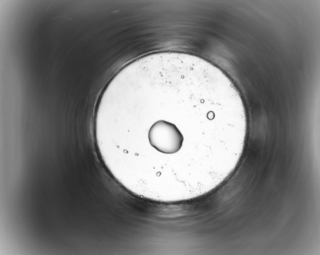 X0000088751338200706071713