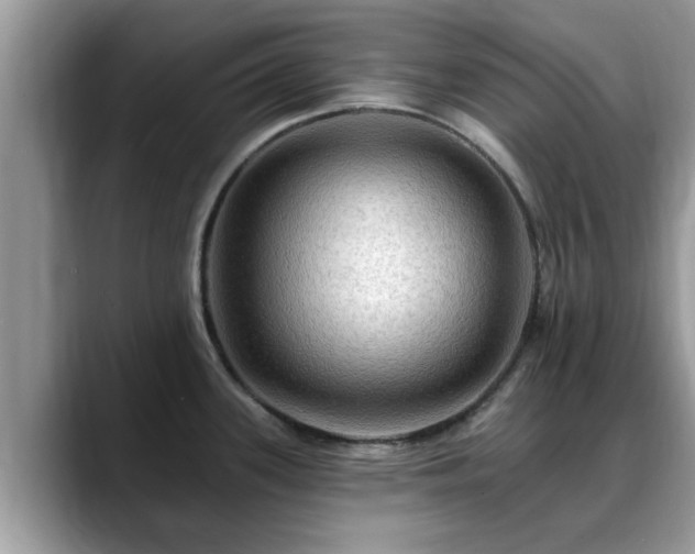 X0000088751339200706071713
