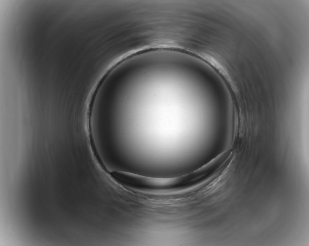 X0000088751342200706071713