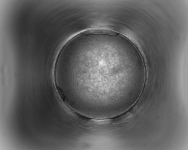 X0000088751344200706071713