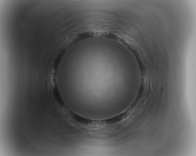 X0000088751346200706071712