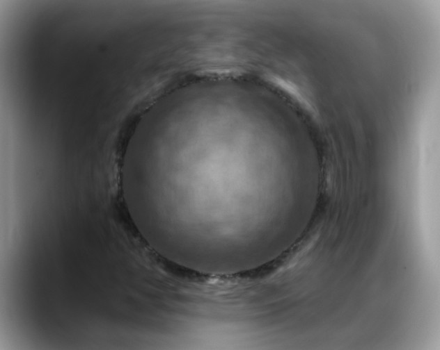 X0000088751350200706071712