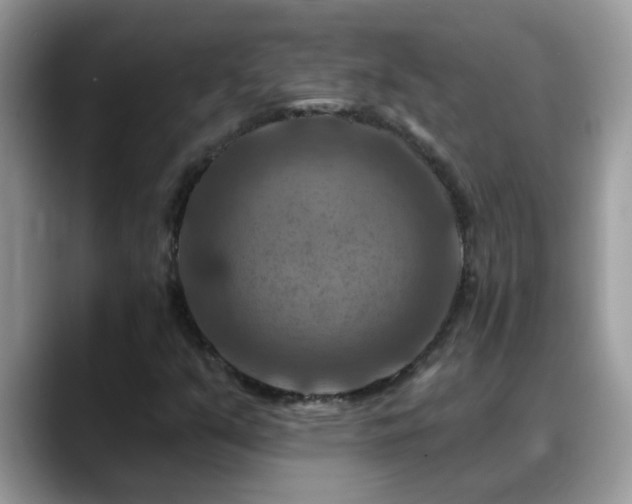 X0000088751351200706071712