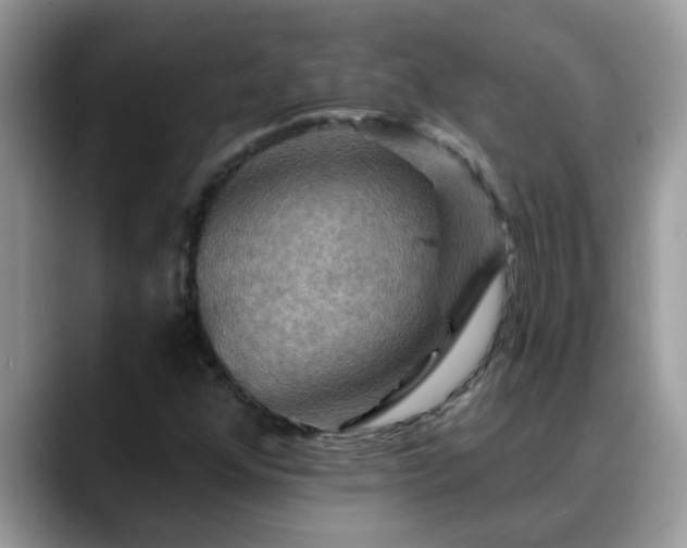 X0000088751352200706071712