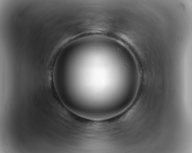 X0000088751355200706071712