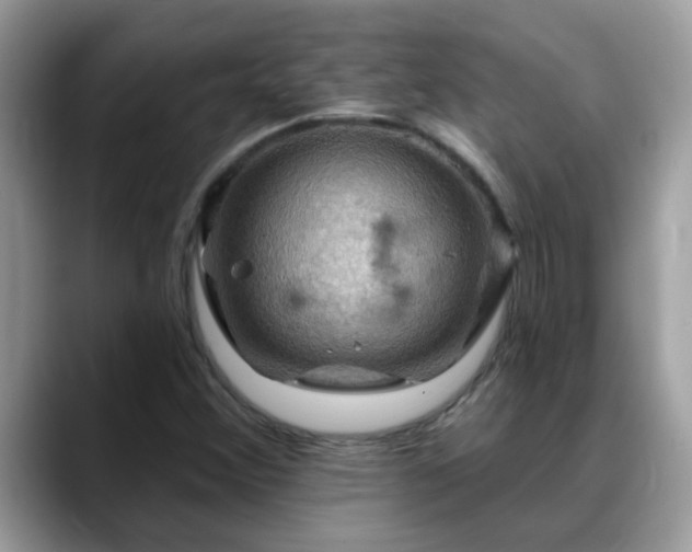 X0000088751356200706071712