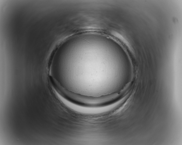 X0000088751357200706071712