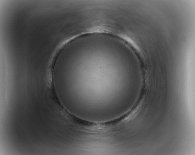 X0000088751358200706071712