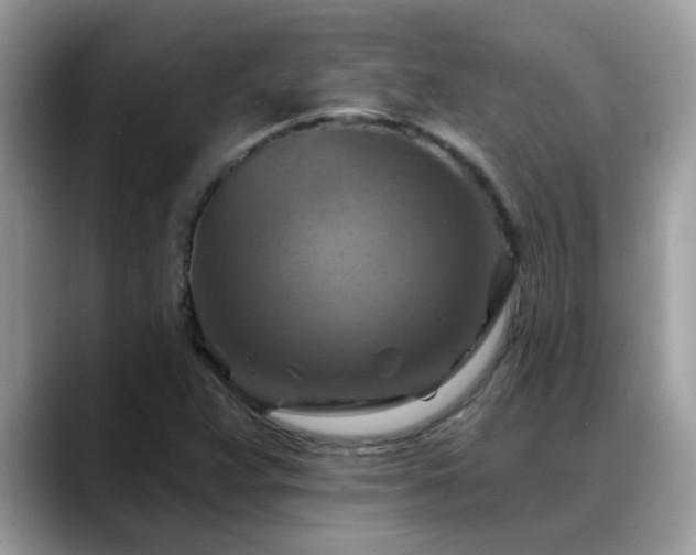 X0000088751359200706071712