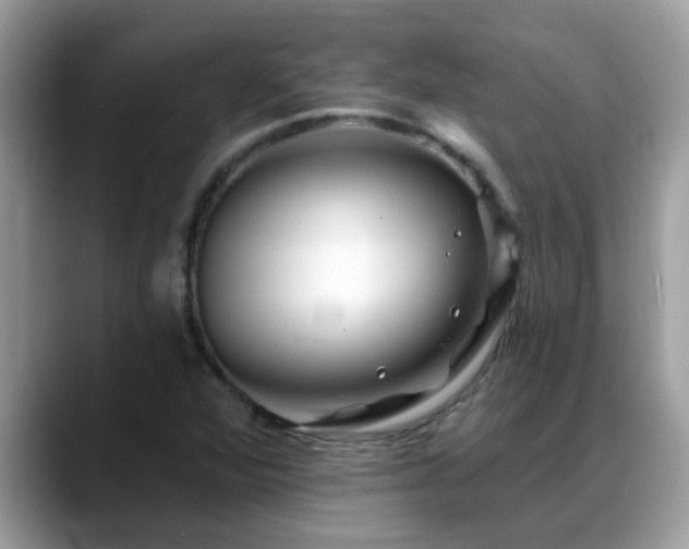 X0000088751360200706071712