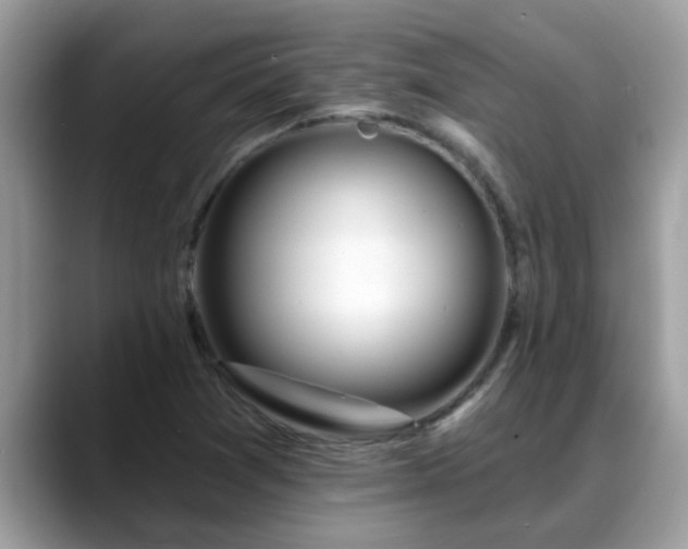 X0000088751361200706071712