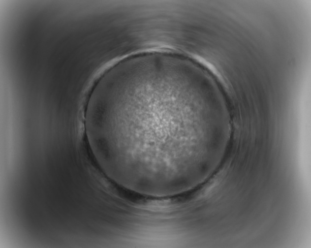 X0000088751363200706071712
