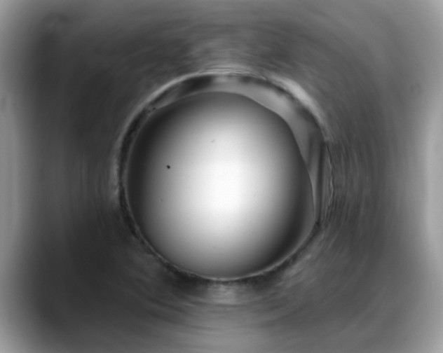 X0000088751364200706071712