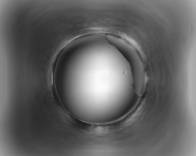 X0000088751365200706071712