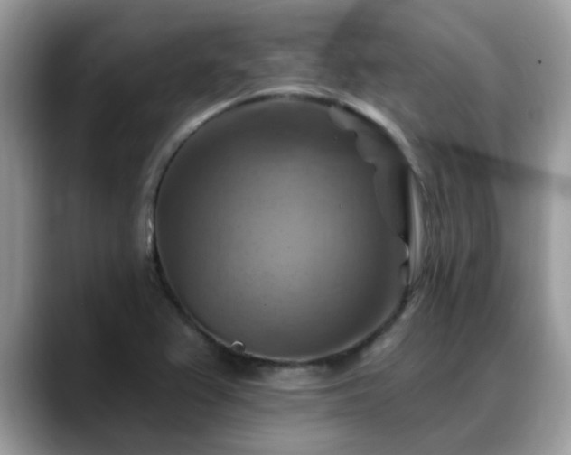 X0000088751367200706071712