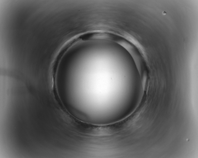 X0000088751368200706071712