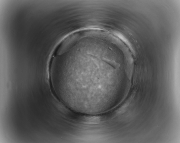 X0000088751372200706071712