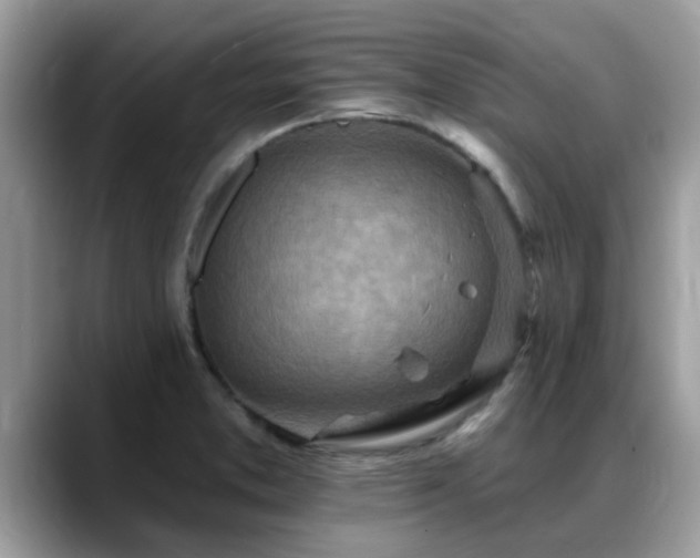 X0000088751373200706071712