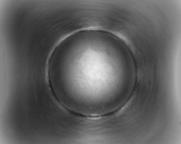 X0000088751374200706071712