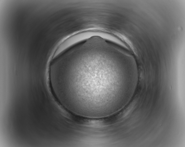 X0000088751375200706071712