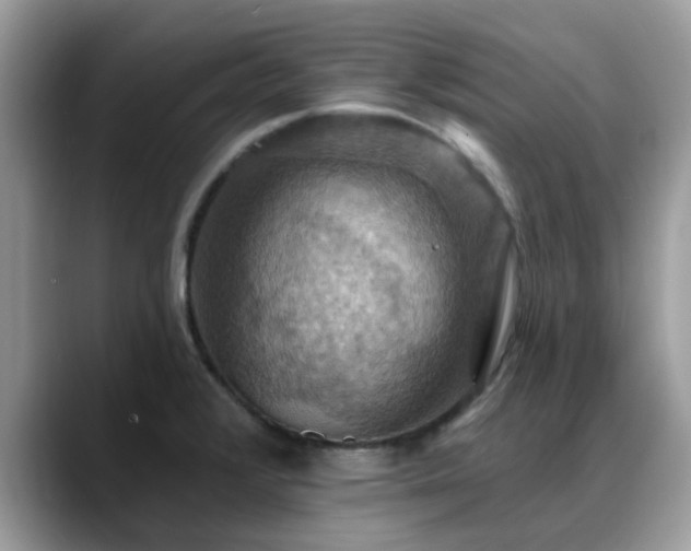 X0000088751376200706071712