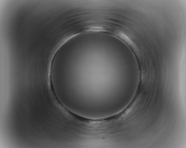 X0000088751378200706071712