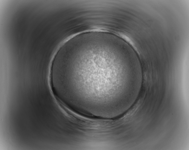X0000088751379200706071712