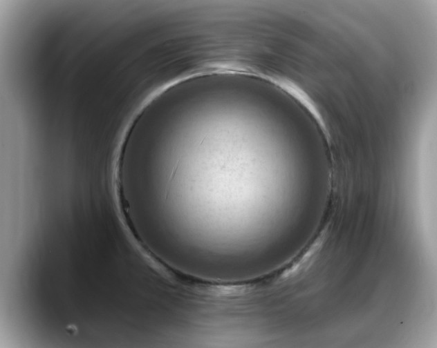 X0000088751381200706071711