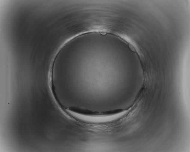 X0000088751383200706071711