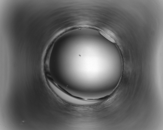 X0000088751384200706071711