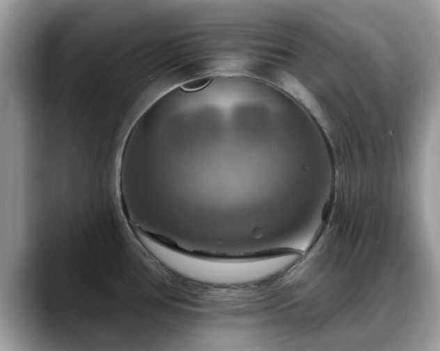X0000088751386200706071711