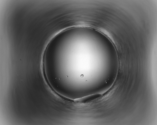 X0000088751387200706071711