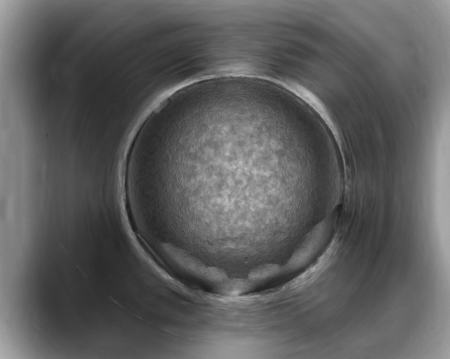 X0000088751389200706071711