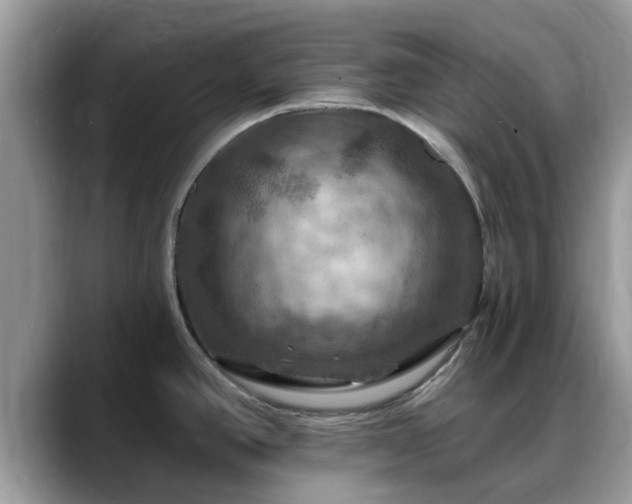 X0000088751390200706071711