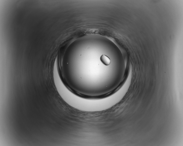 X0000088751394200706071711