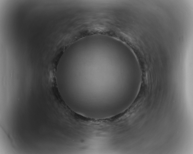 X0000088751397200706071711