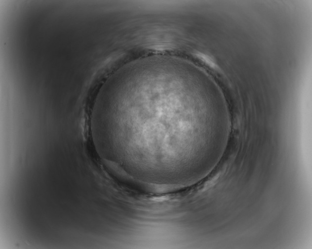 X0000088751398200706071711