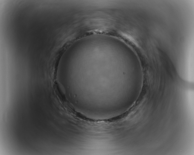 X0000088751399200706071711