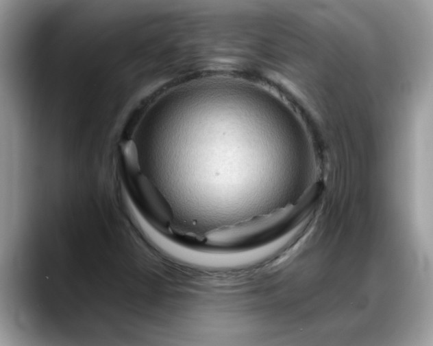 X0000088751402200706071711
