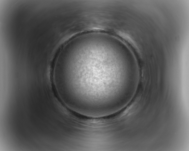 X0000088751404200706071711