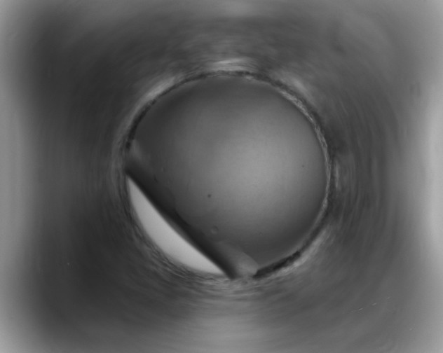 X0000088751405200706071711