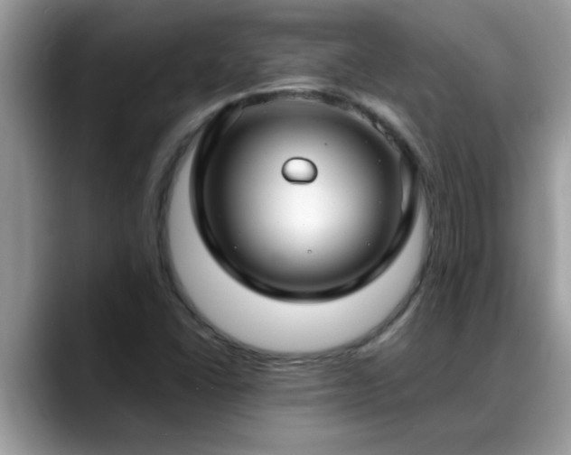 X0000088751406200706071711