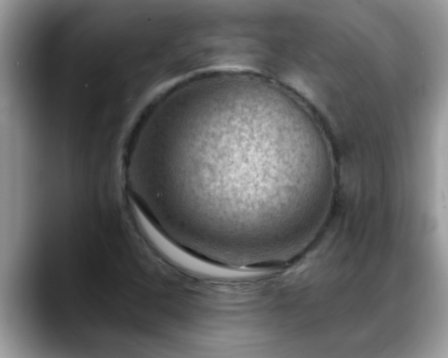 X0000088751408200706071711